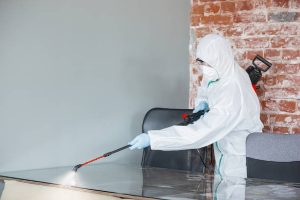 Why You Should Choose Our Mold Remediation Services in Romancoke, MD